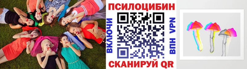 где продают Дудинка Псилоцибиновые грибы Cubensis